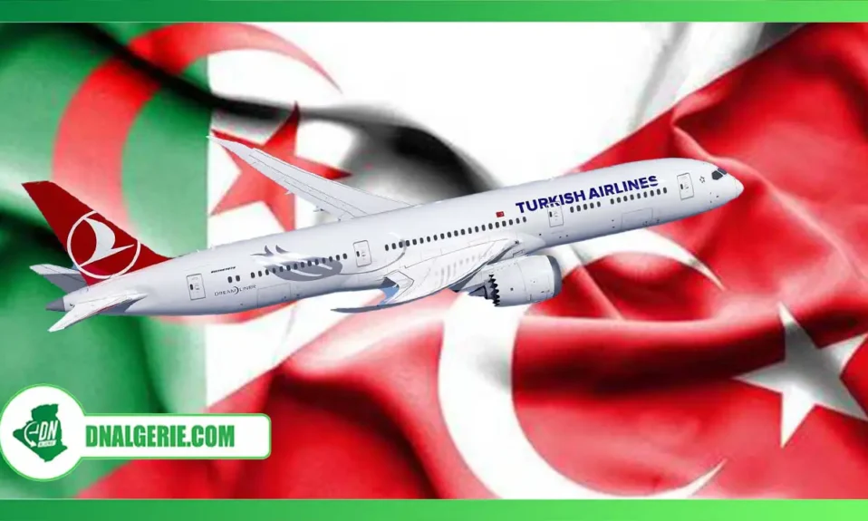 Montage : avion, vol spécial vers la Turquie depuis l'Algérie, Vols spéciaux Algérie Turquie