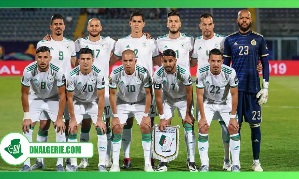 Montage : les verts-sélection algérienne à la CAN 2019