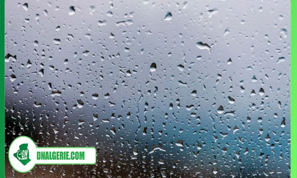 Montage : Gouttes de pluie, météo Algérie