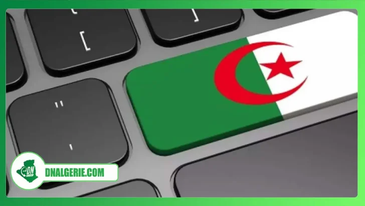 Montage : internet en Algérie