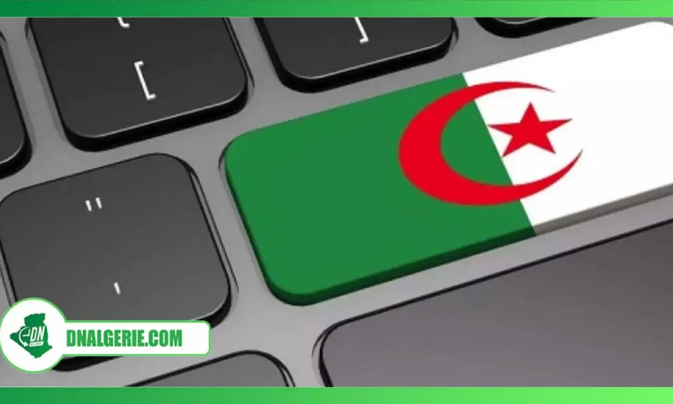 Montage : internet en Algérie