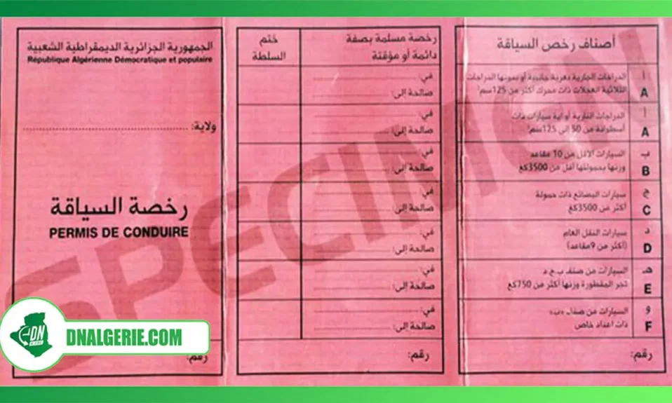 Montage : permis de conduire Algérie