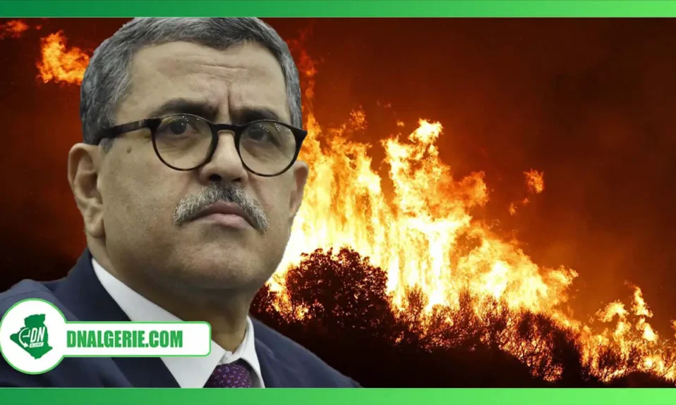 Montage : Djerrad, feux de forêt en Algérie