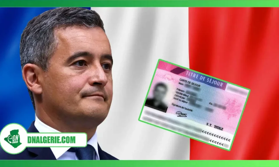 Montage : immigration et naturalisation en France