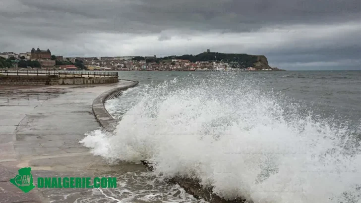 Montage : vents forts et pluies, prévisions météo en Algérie, Algérie météo