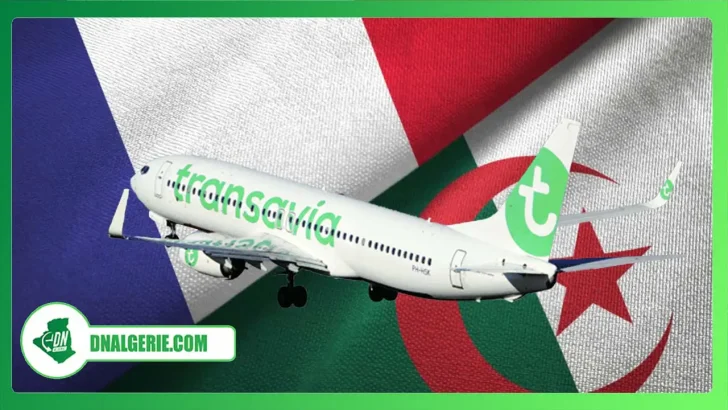 Montage : Transavia programme des vols spéciaux entre l'Algérie et la France