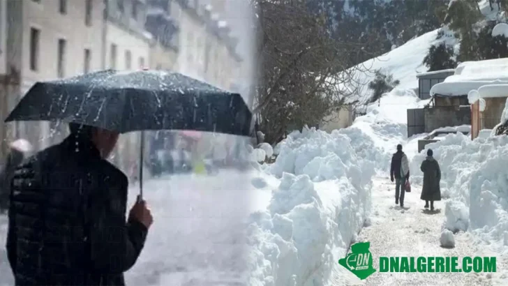 Montage : pluies neige Algérie météo