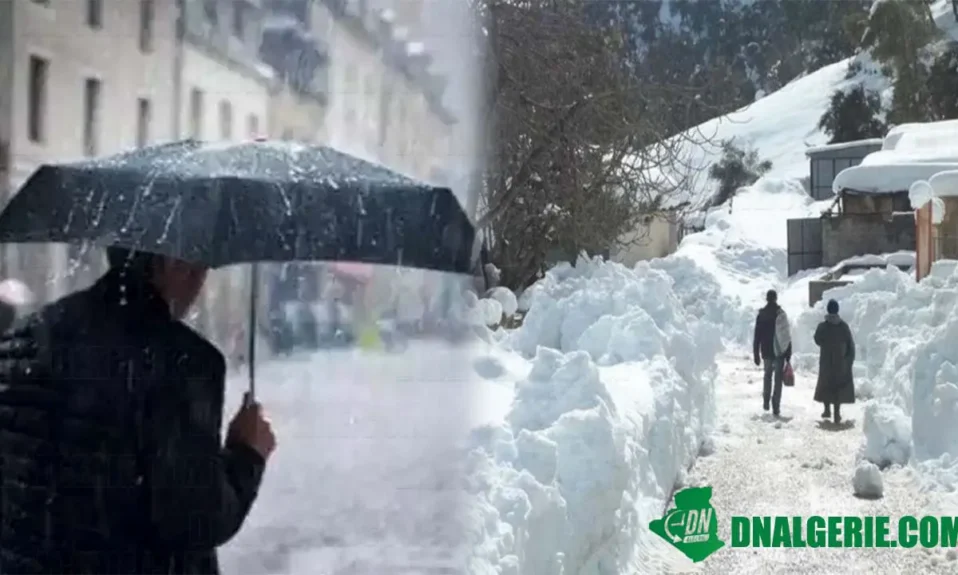 Montage : pluies neige Algérie