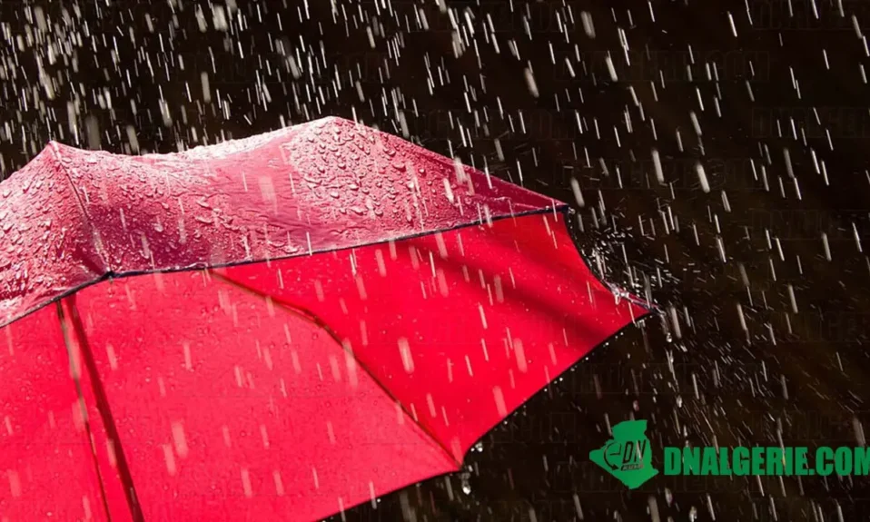 Montage : chutes de pluies en Algérie, Alerte Météo Algérie