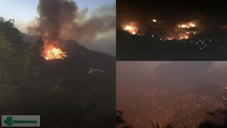 Feux de forêt en Kabylie