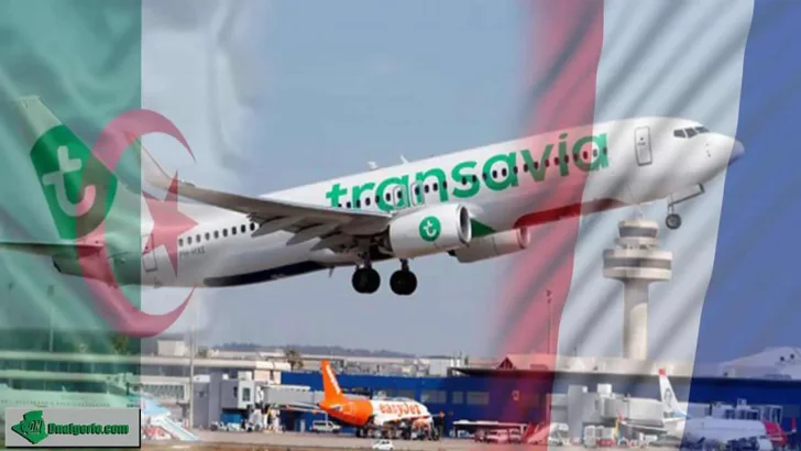 France Algérie Transavia programme