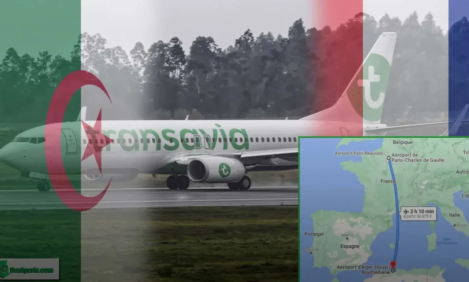 Nouvelle ligne Transavia Algérie