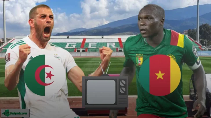 Algérie Cameroun chaînes