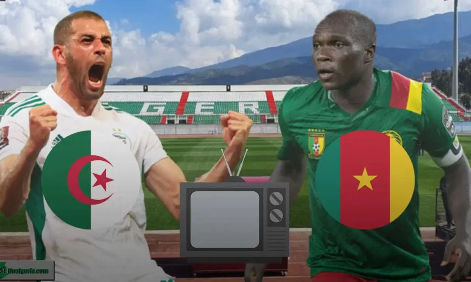 Algérie Cameroun chaînes
