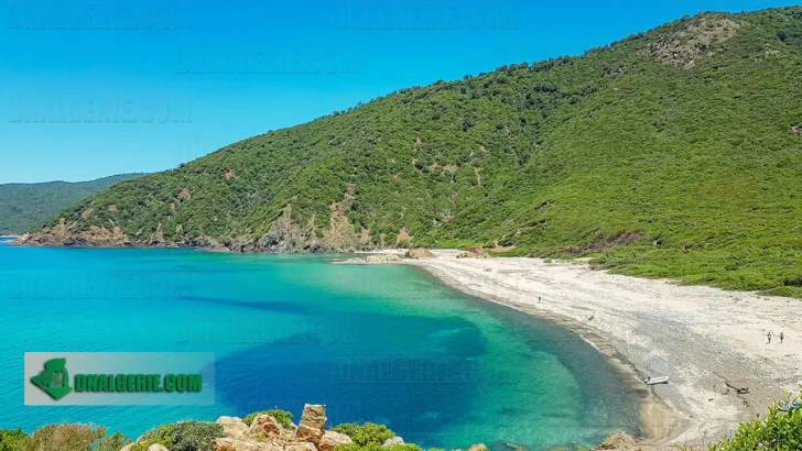 Algérie touriste français enfants algériens France vacances