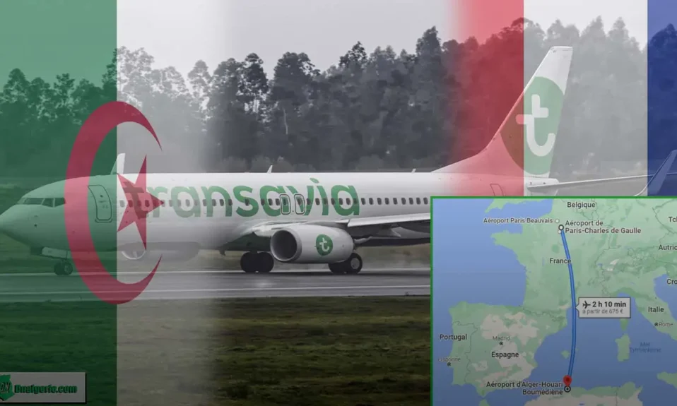 Transavia vols Algérie retard