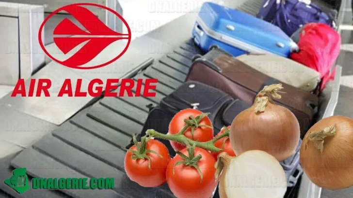 Air Algérie valise