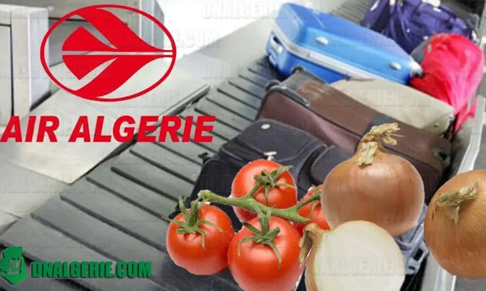 Air Algérie valise