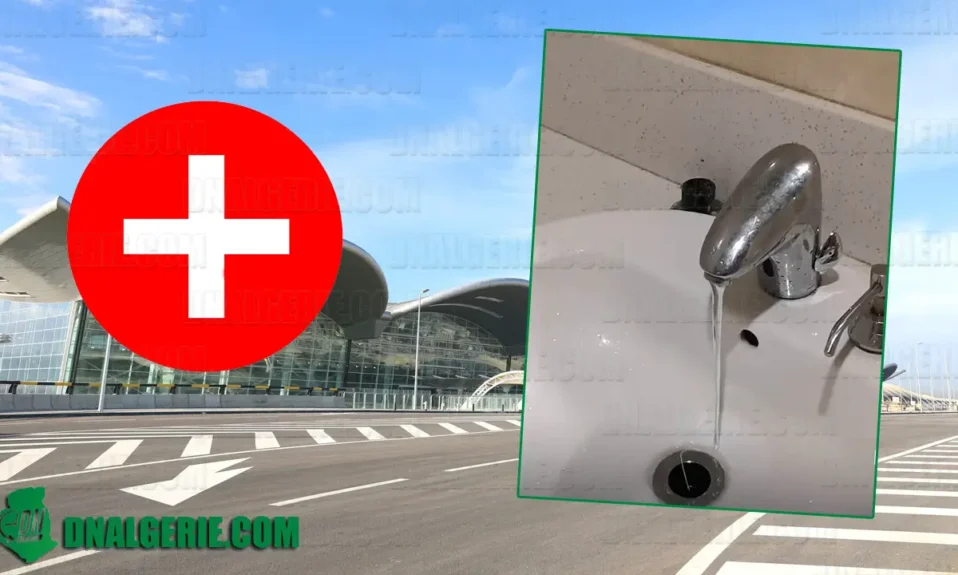 Aéroport Alger Algérien Suisse