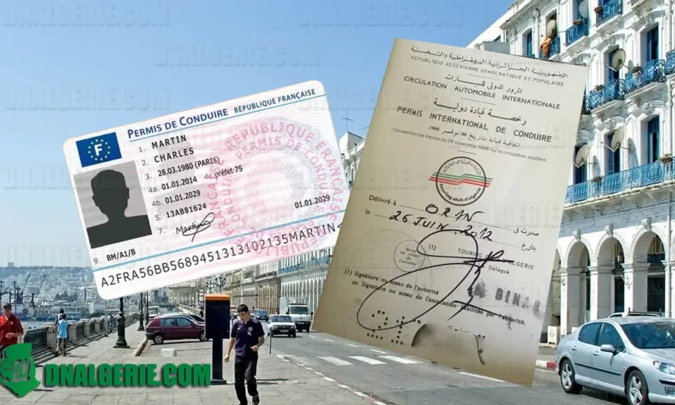 Algériens France permis de conduire