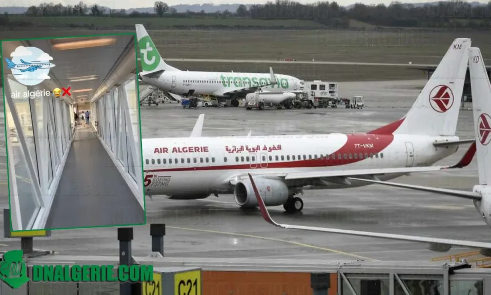 Air Algérie Algérien
