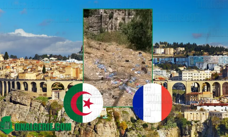 Algérienne France tourisme