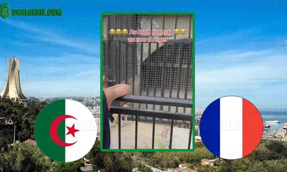 Algérienne France stupéfaite