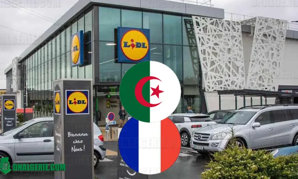 Algériens France Lidl accessoire