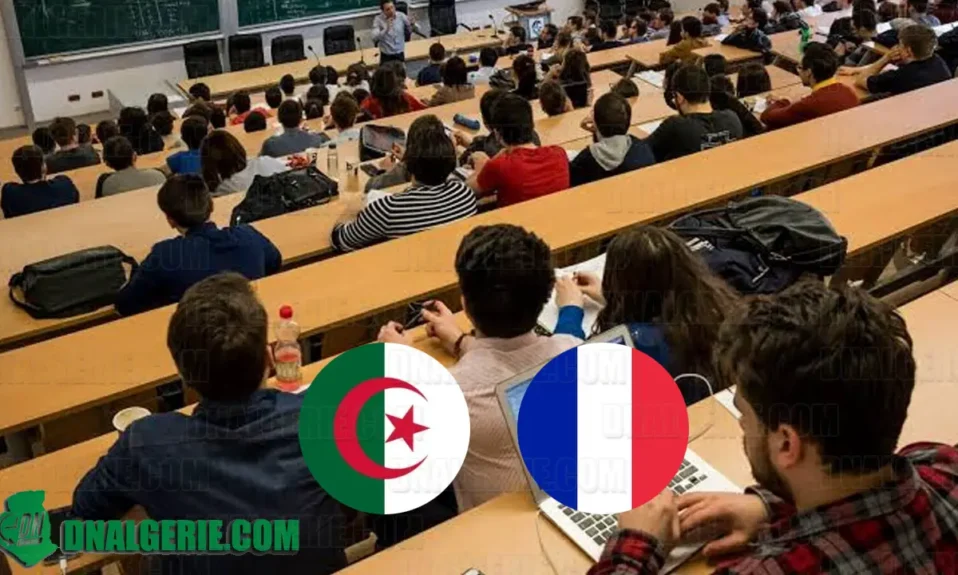 Algériens étudiants France