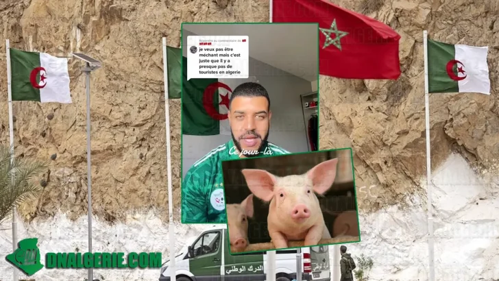 Algérien France Maroc porc