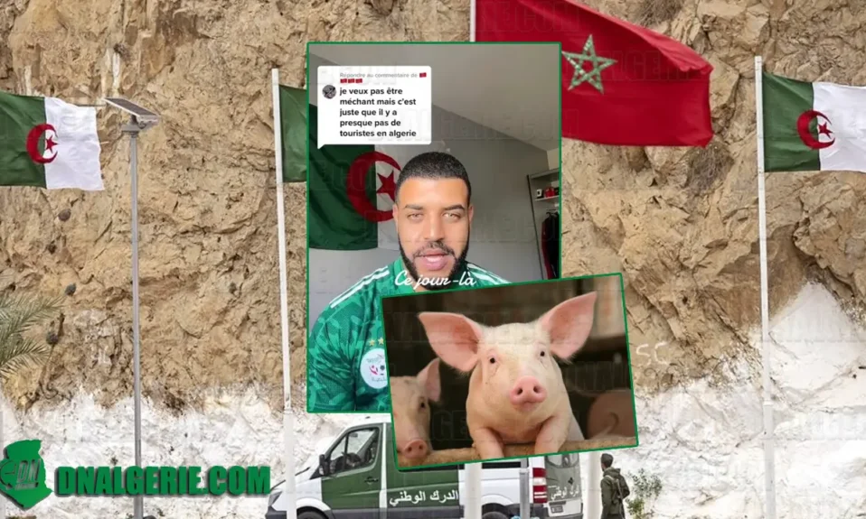 Algérien France Maroc porc