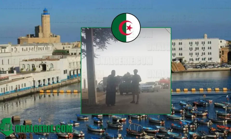 Algérie tourisme jeune homme