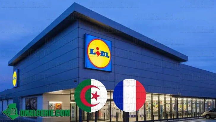 Algériens Lidl