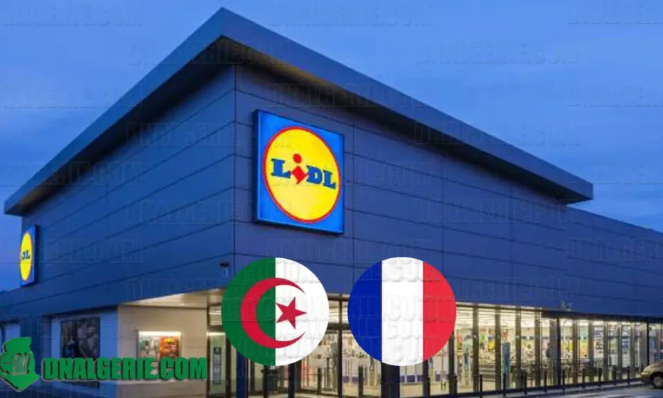 Algériens Lidl