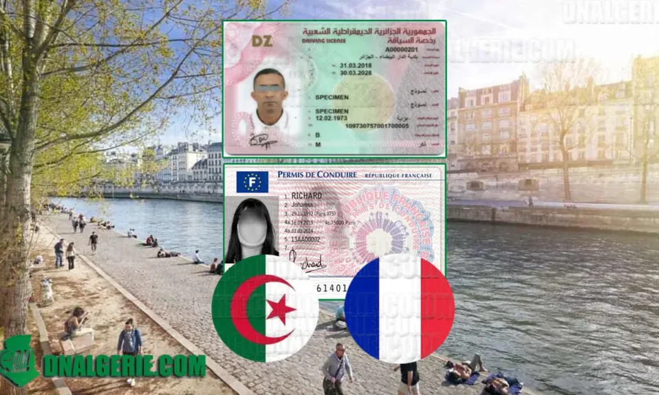 Algérien échange permis France