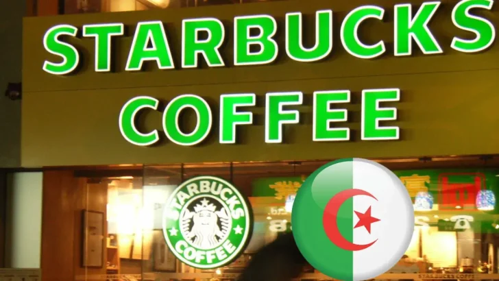 Nourhene Starbucks Algérie