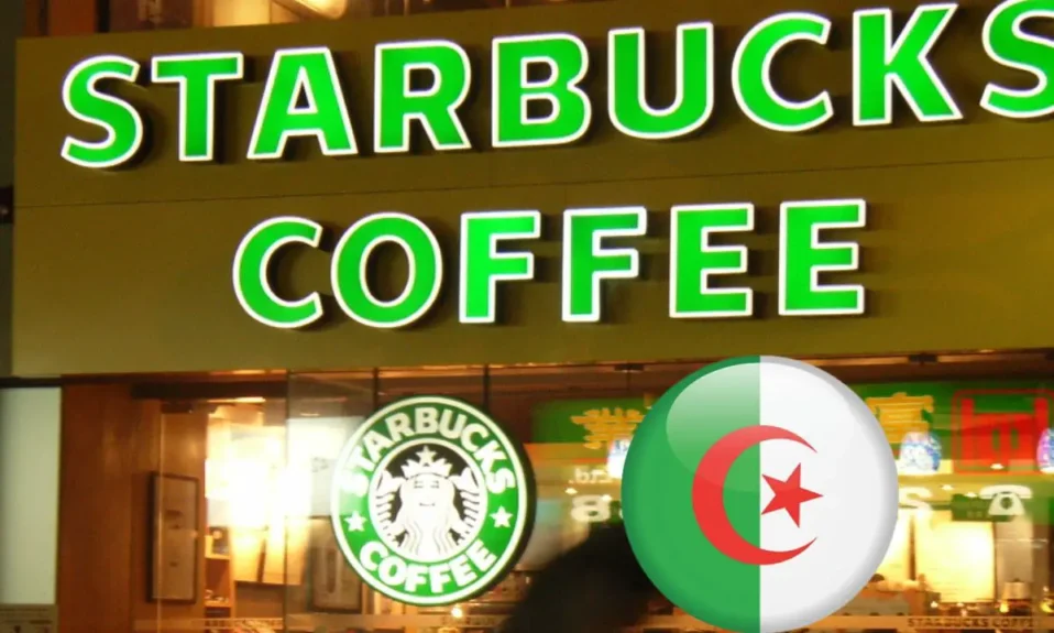 Nourhene Starbucks Algérie