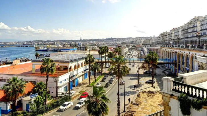 Alger vacancière