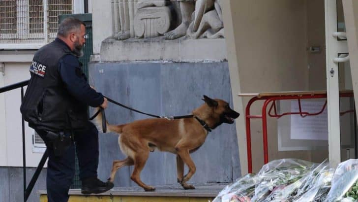 Algérien fausses alertes bombes