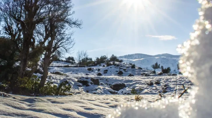 Touriste étrangère Algérie