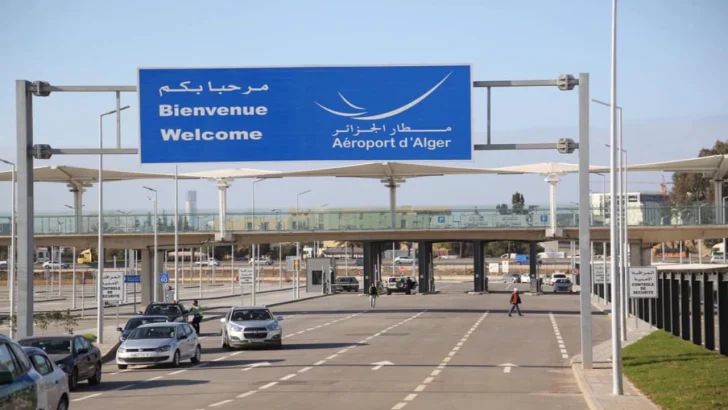 Aéroport international Alger chiens errants