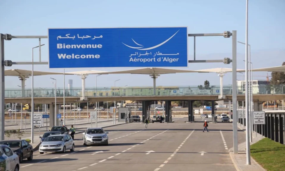 Aéroport international Alger chiens errants