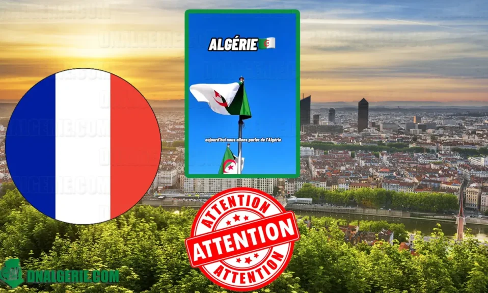 Algérienne de France Algérie sale