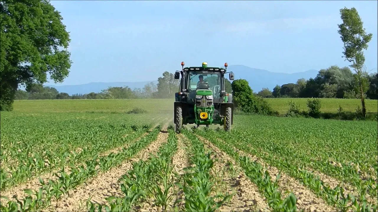 Agriculture Algérie