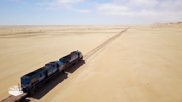 train Algérie