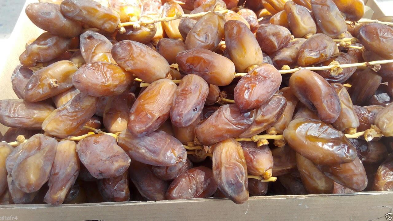dattes Deglet Nour