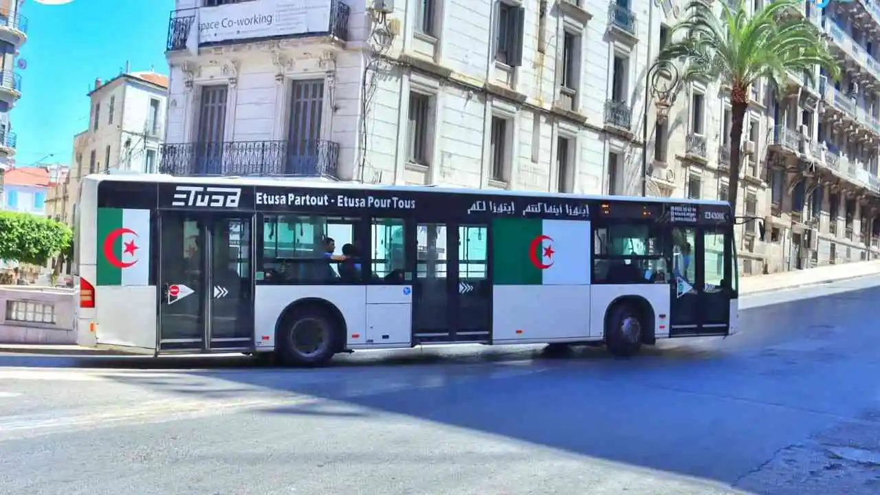 Bus Alger Algérie